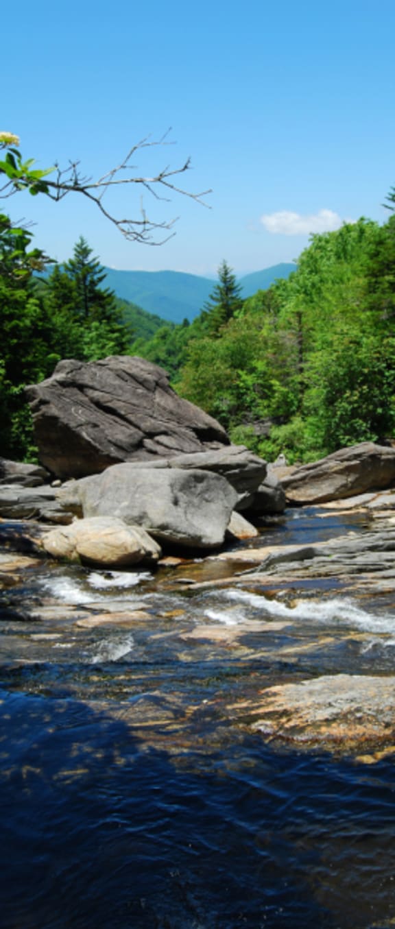 a river runs through it at Pendleton Townhomes Apartments, Durham, NC