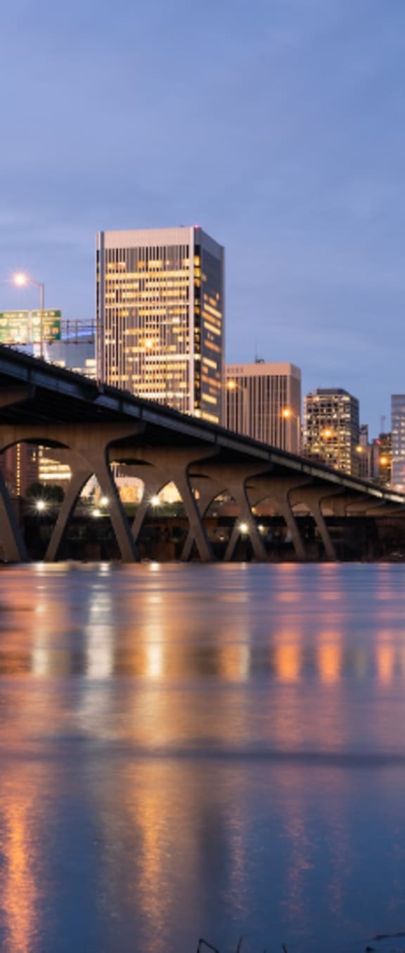 a view of the city of brisbane at dusk from the banks of the bris