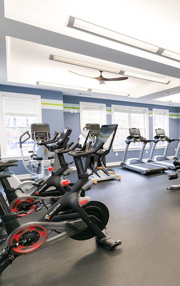 A spacious gym with a variety of exercise equipment.