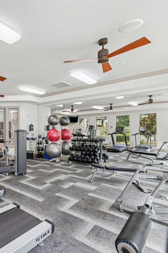 A well-equipped gym with treadmills, exercise balls, and weights.