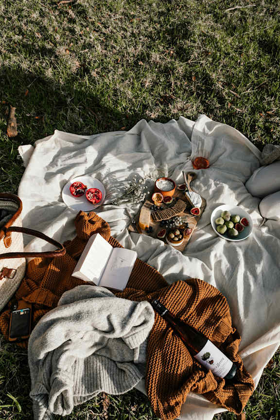 A picnic setup with a book, wine, and snacks on a blanket.