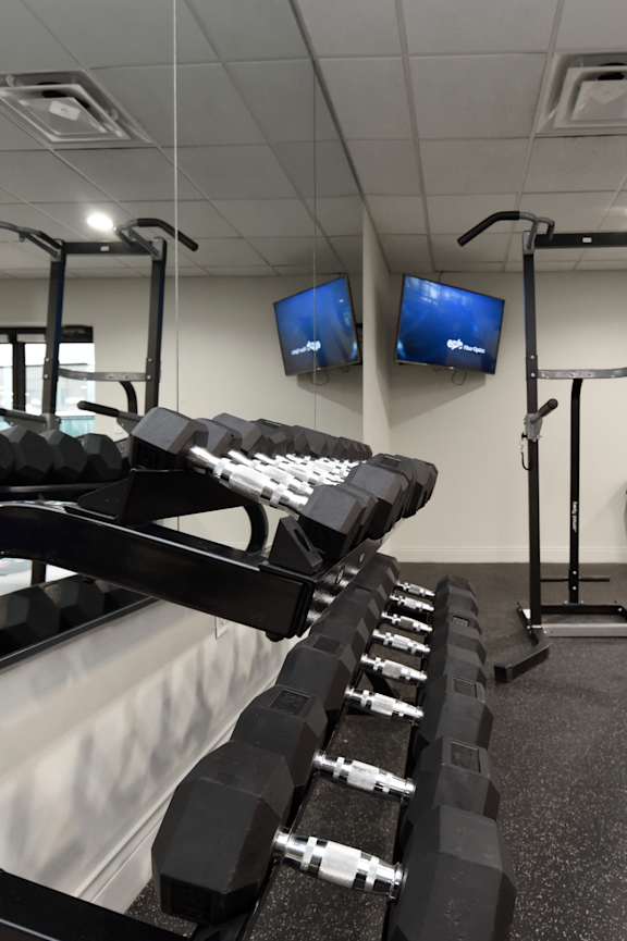 A gym with a row of dumbbells and two treadmills.