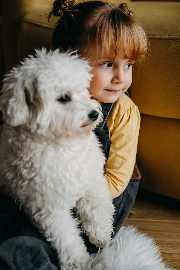 A man and woman are embracing a small white dog.