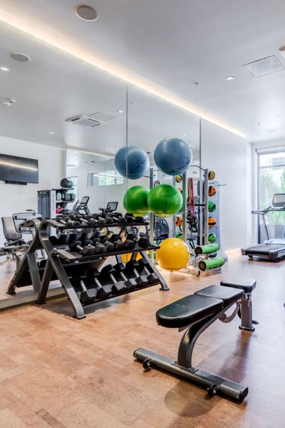 the gym is stocked with cardio equipment and weights