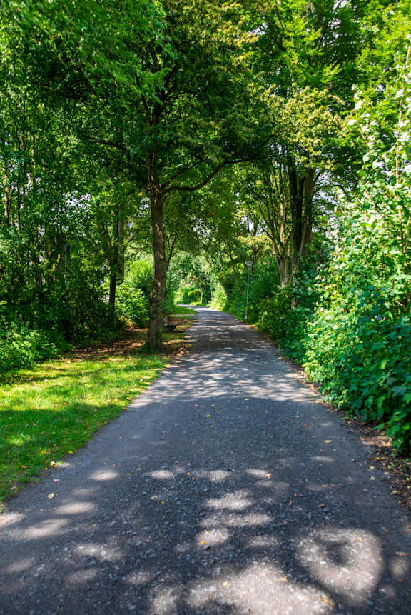 Curvy pathway at Reserve at Romeoville, Illinois