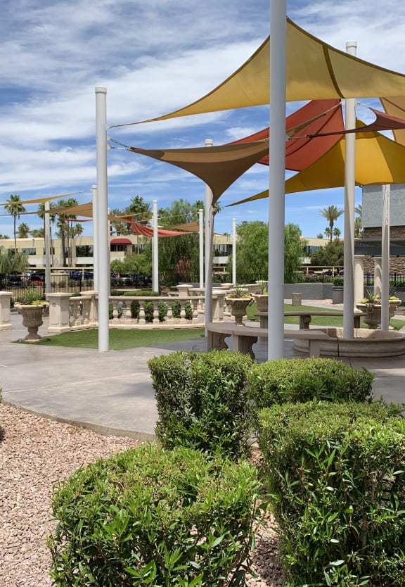a park with benches and umbrellas