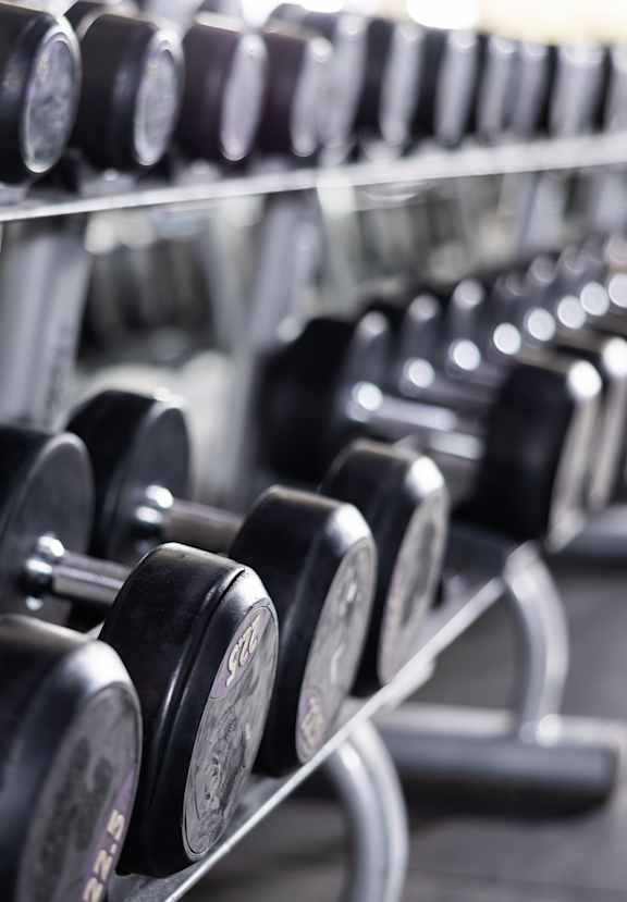 A row of dumbbells are lined up on a rack in a gym.