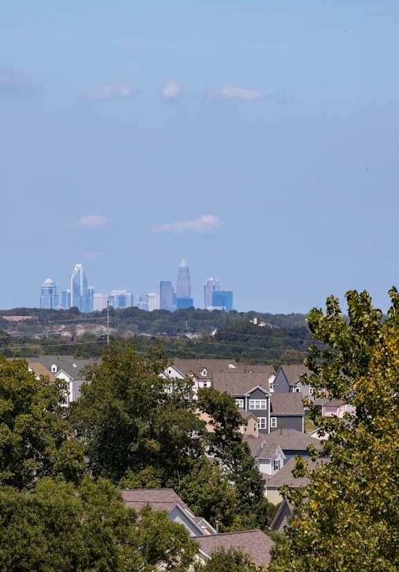 A city skyline is visible through a foreground of trees.