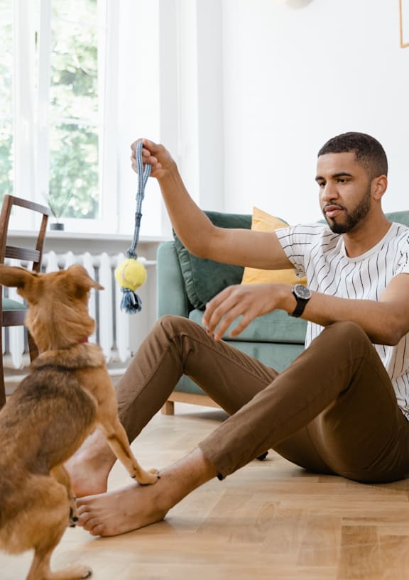 A man playing with a dog using a tennis ball.