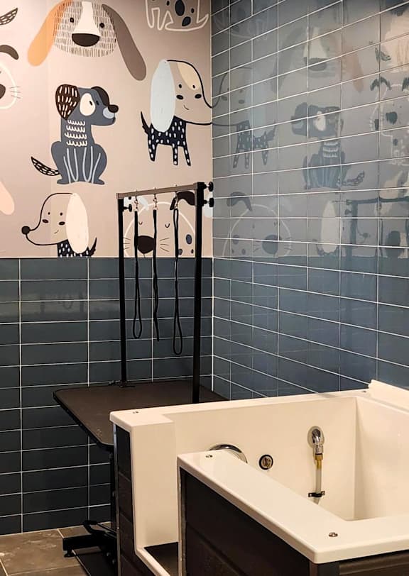A bathroom with a white sink and dog wallpaper.