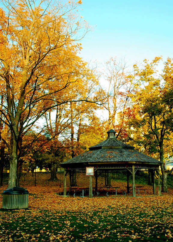 A gazebo surrounded by trees with yellow leaves.
