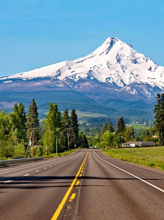 A road with a yellow line in the middle leads to a snow-covered mountain.