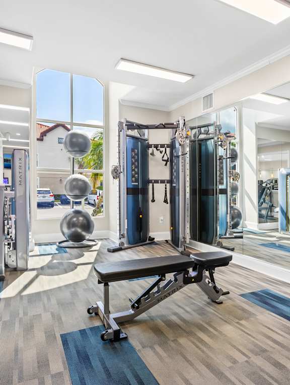 A gym with a variety of equipment including a squat rack, bench press, and a mirror.