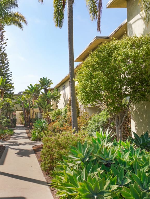 the walkway between the units at the resort