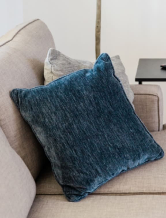 A blue pillow on a beige couch with a green plant in the background.