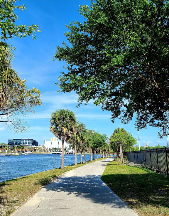 a path next to the water with palm trees