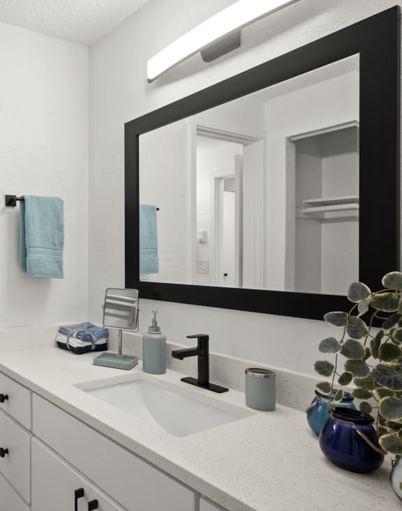 a bathroom with a sink and a toilet