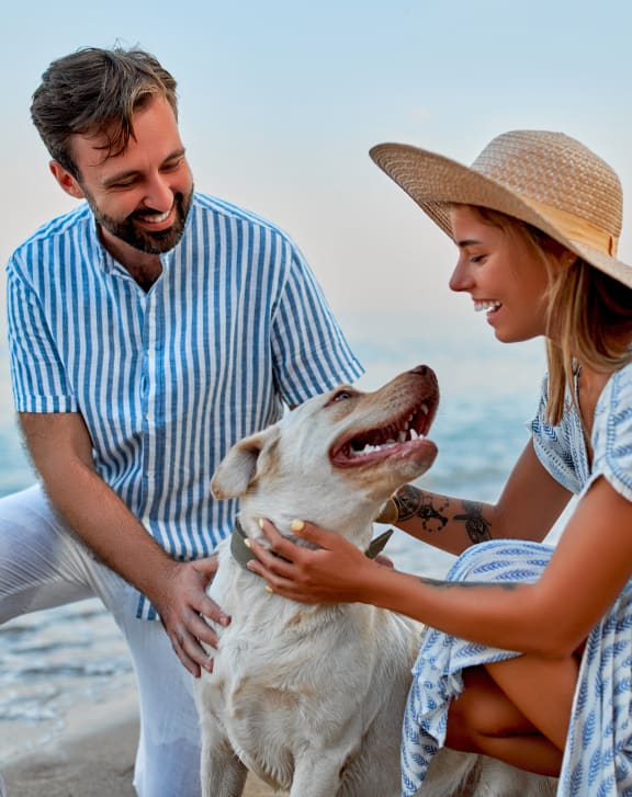 a couple playing with their dog on the beach