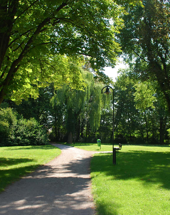 A tree-lined walking path in a park.