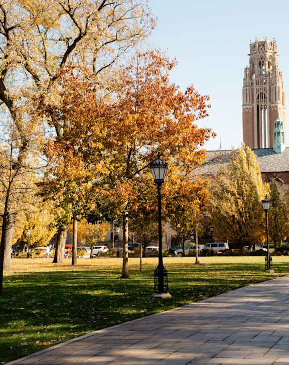A park with a pathway, trees, and a clock tower in the background.