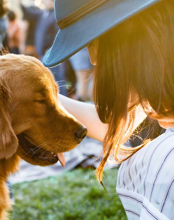 A woman in a striped shirt is petting a golden retriever.