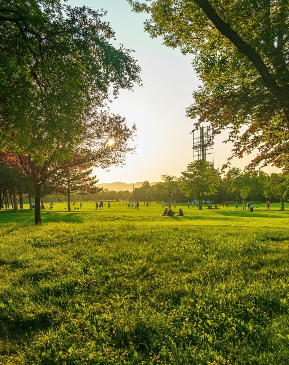 a park with trees and a tower in the distance