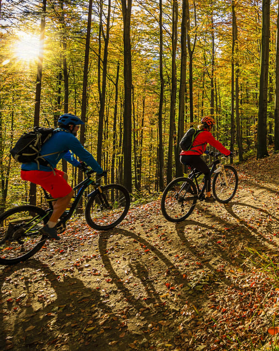two people riding bikes on a trail in the woods
