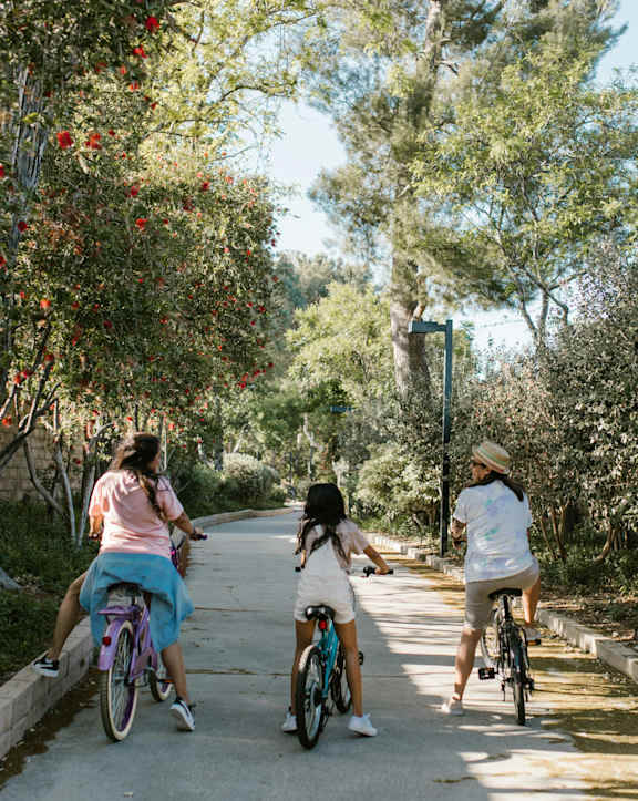 Three women riding bikes on a tree-lined path.
