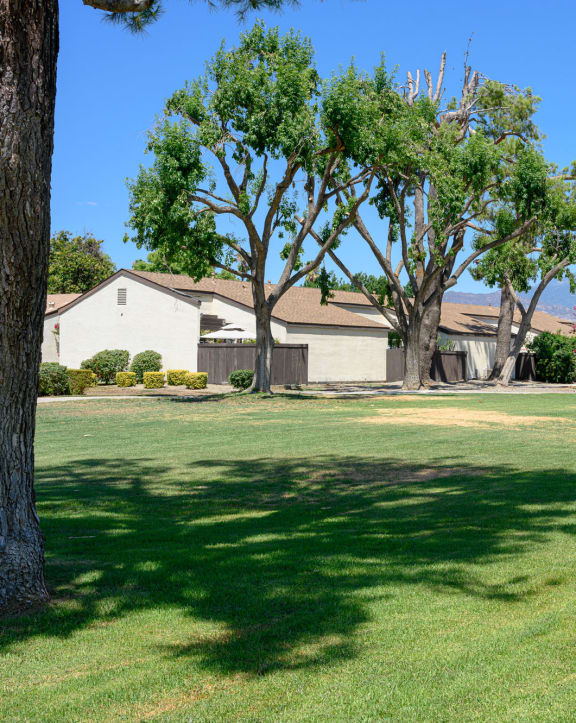 a large grassy area with a house in the background a yard with a house in the background and trees