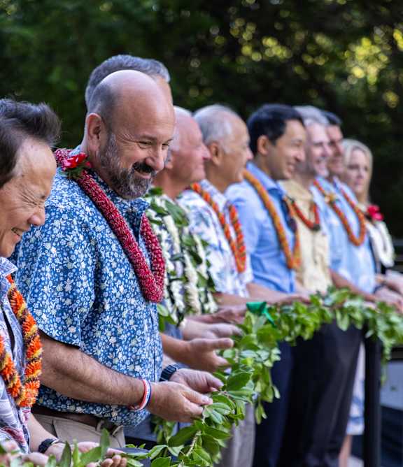 A group of people are lined up and holding a green plant.