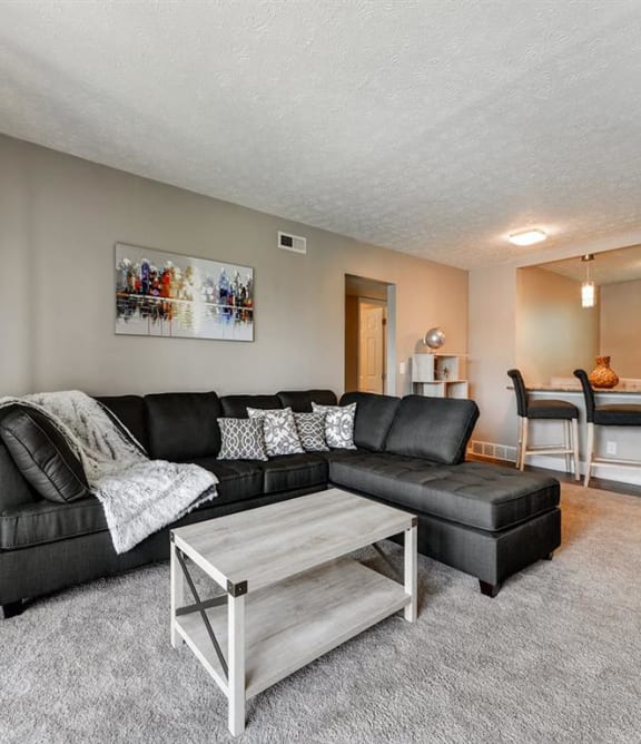 Modern and Spacious Living Room at Heritage Hill Estates Apartments, Cincinnati, Ohio 45227