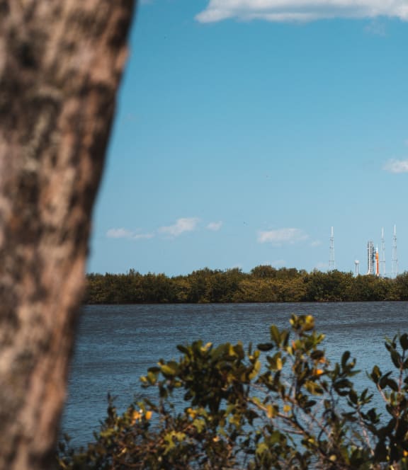 a view of a body of water with trees and a radio tower in the distance