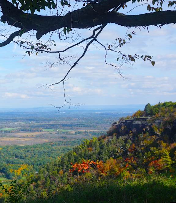 a view of a body of water with trees and a radio tower in the distance