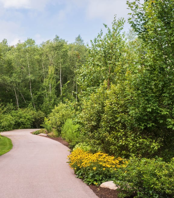 a path through a forest with yellow flowers on the side of the path