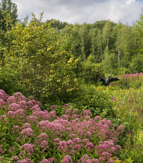 a bird flying over a lush green field