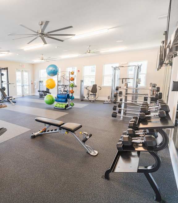 A gym with treadmills, elliptical machines, and other exercise equipment.
