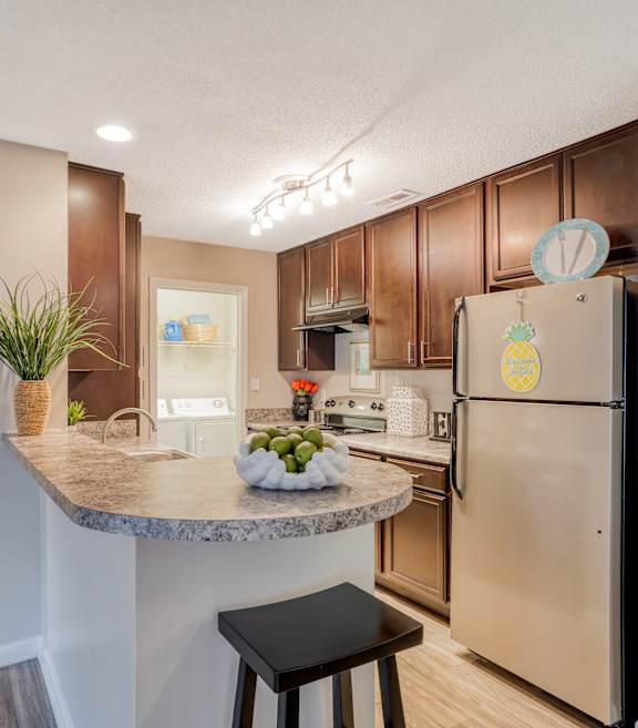 A kitchen with a refrigerator, sink, and a counter with a plant on it.