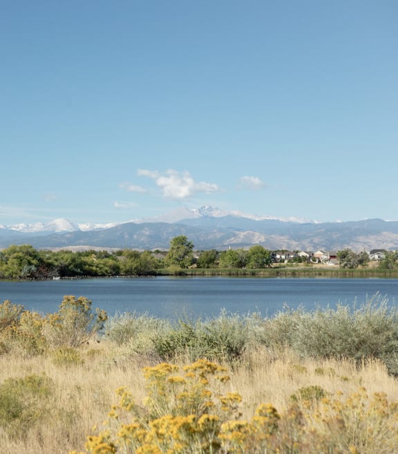 a view of a lake with mountains in the background