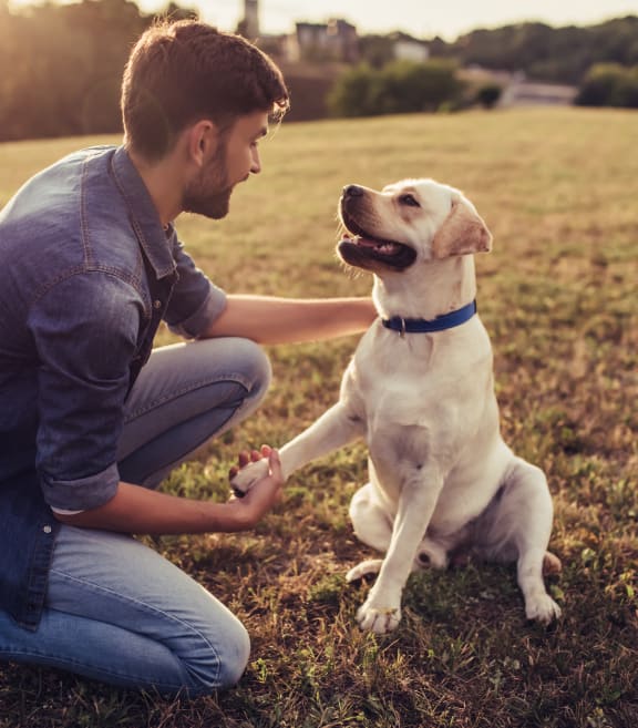 a man playing with his dog in a field