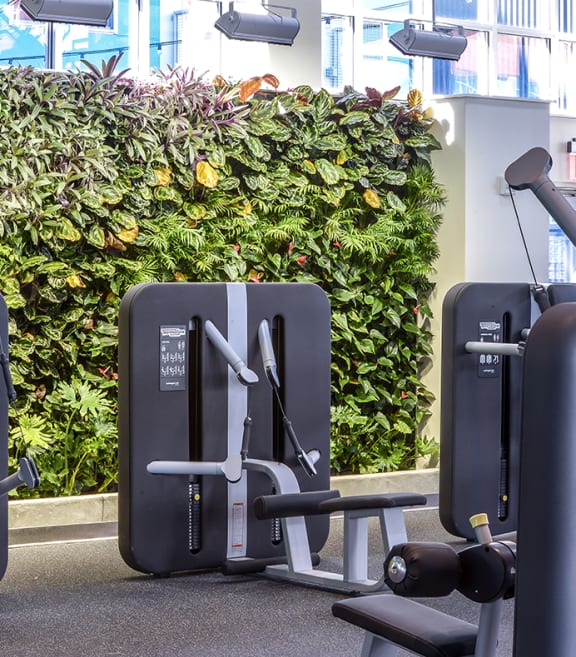 Gym equipment at Bakery Living, Shadyside, Pittsburgh, PA 15206