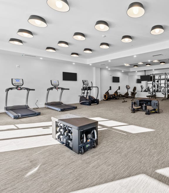 a group of people running on treadmills in a gym
