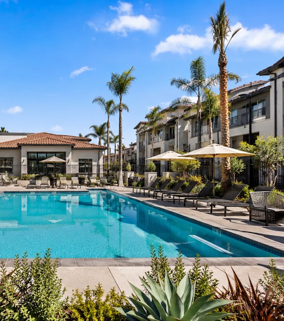 A pool surrounded by palm trees and lounge chairs.