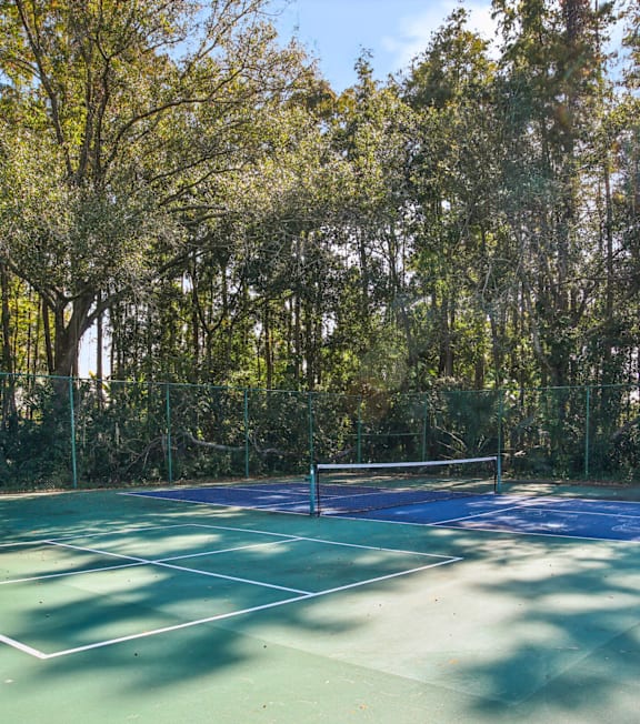 A tennis court surrounded by trees.
