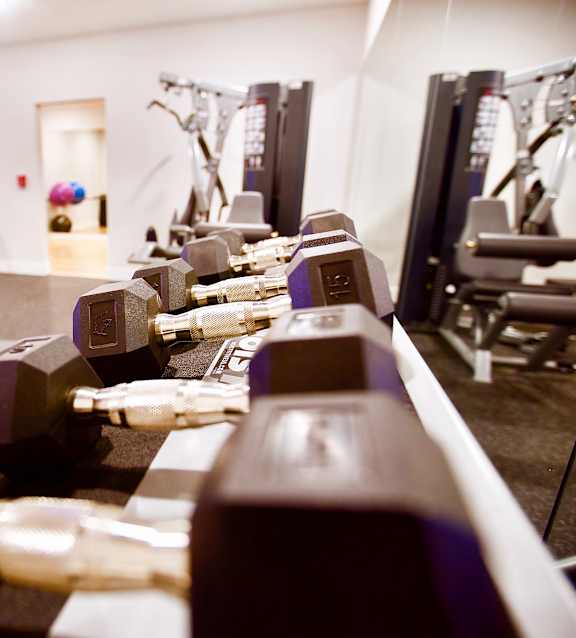 A gym with treadmills, weights, and exercise equipment.