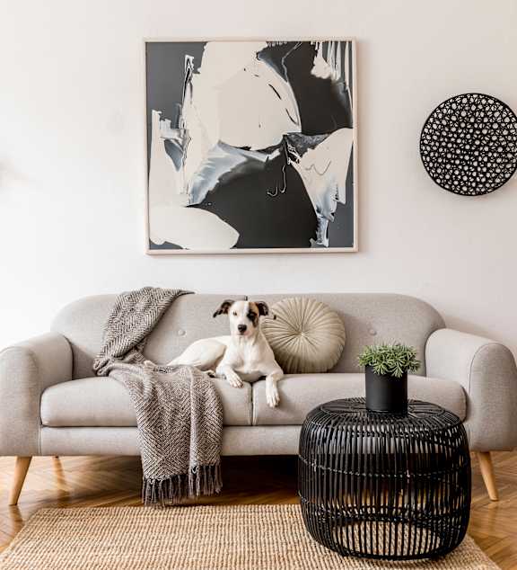 A dog is sitting on a grey couch with a blanket.