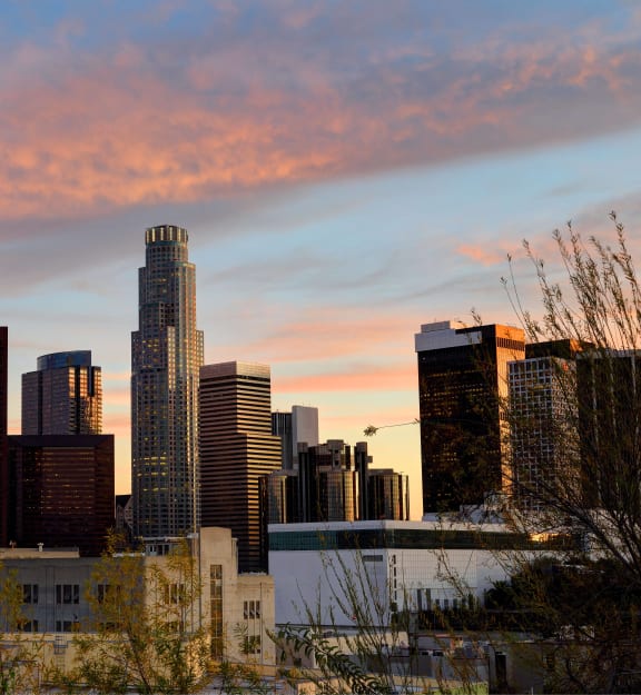 the skyline of the city at sunset