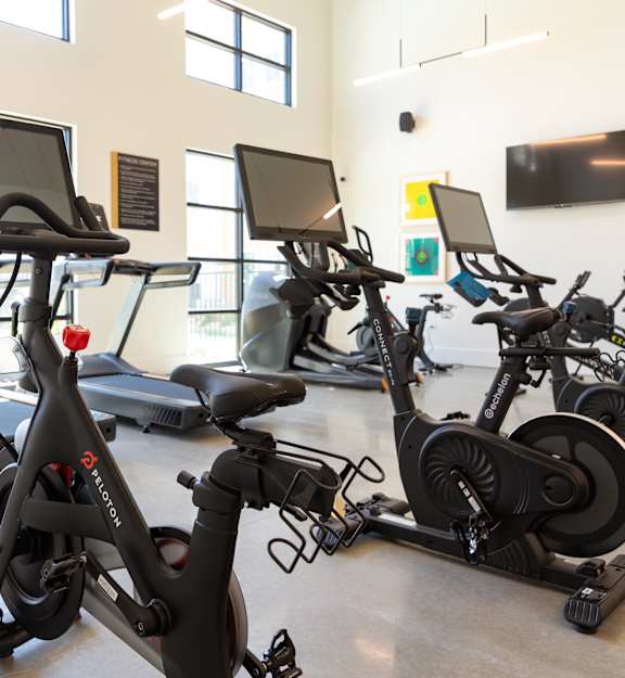 A gym with exercise bikes and treadmills.