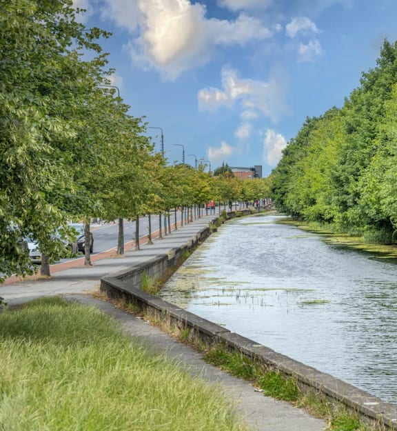 a path along a river with trees on either side