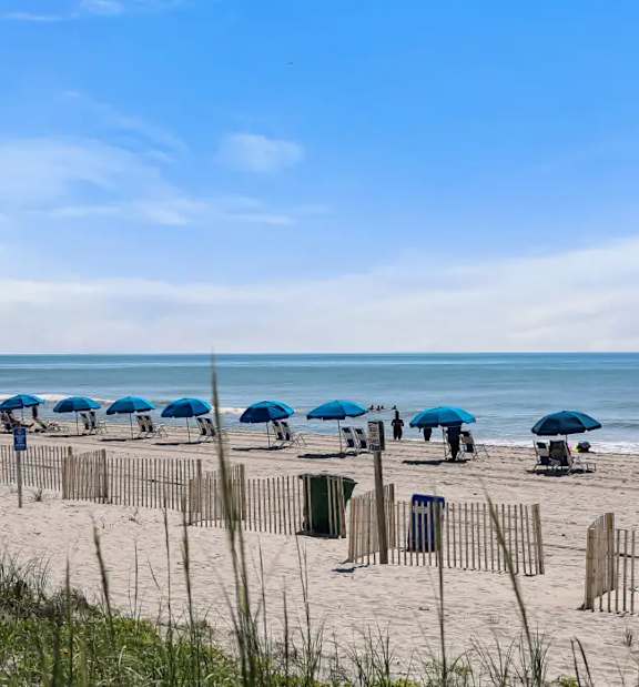A beach scene with blue umbrellas and wooden poles.