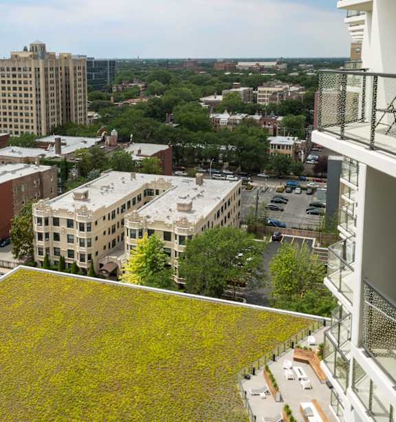 A green roof on a building with a cityscape in the background.